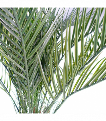 120cm Cycas Palm Tree UV Resistant Outdoor