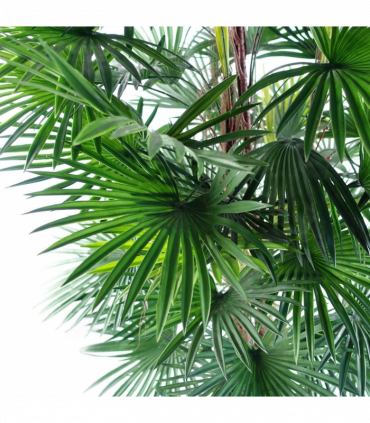 120cm Fan Palm Artificial Tree