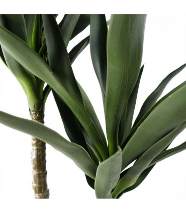 120cm Yucca Tree UV Resistant Outdoor