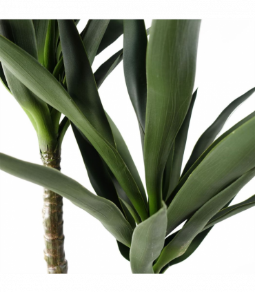 120cm Yucca Tree UV Resistant Outdoor