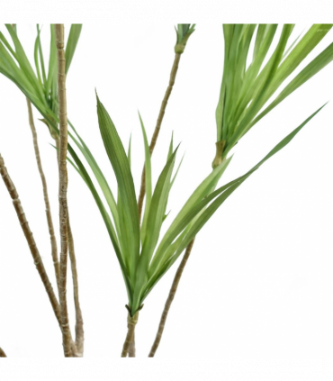 Artificial Dragon Tree Plant Green Plastic 125cm Natural Look Home Decor
