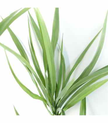 Artificial Dragon Tree Plant Green Plastic 125cm Natural Look Home Decor