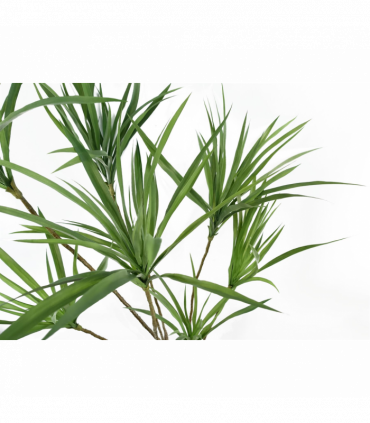 Artificial Dragon Tree Plant Green Plastic 125cm Natural Look Home Decor