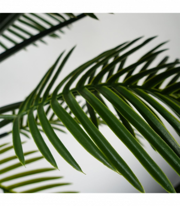 125cm UV Resistant Raphis Palm Tree with Natural Trunk
