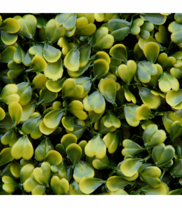 Artificial Boxwood Wall Panels Green 50cm x 50cm x 5cm 12PCS Grass Privacy Fence