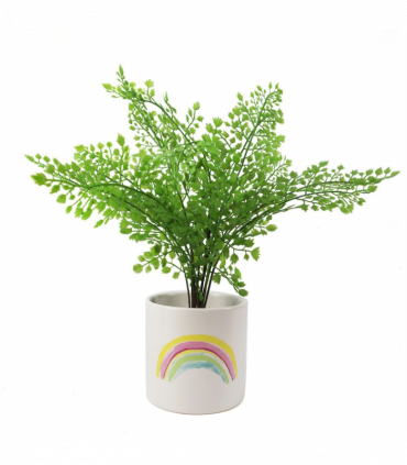 12cm Ceramic Rainbow Multicolour Ceramic Planter