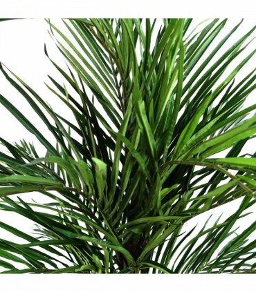 130cm Areca Palm Artificial Tree