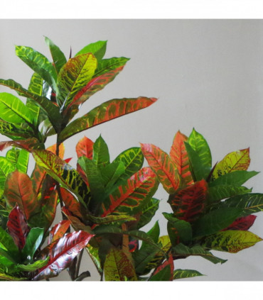 130cm Artificial Codiaeum Multicoloured Tree