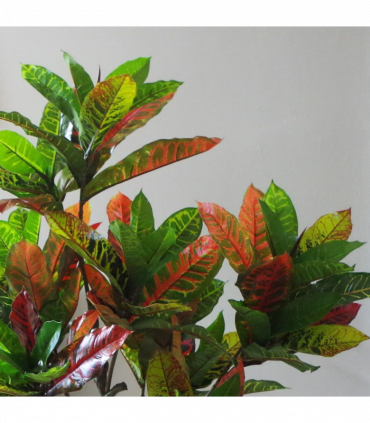130cm Artificial Codiaeum Multicoloured Tree