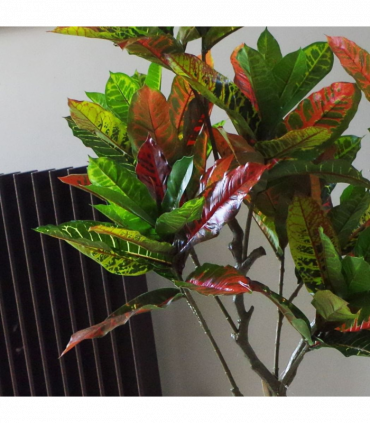 130cm Artificial Codiaeum Multicoloured Tree