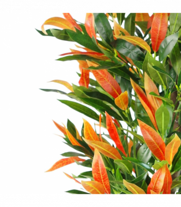 130cm Artificial Red & Green Ficus Tree