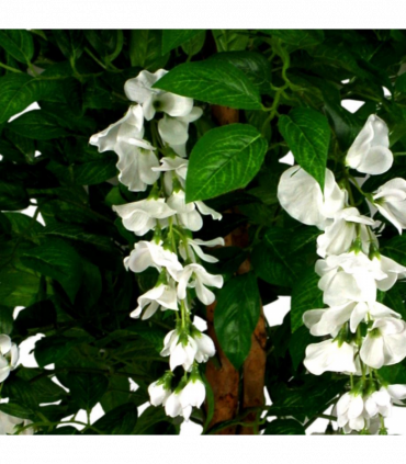 130cm Luxury Artificial Wisteria Tree White Flowers - Premium Range Gold Metal Planter