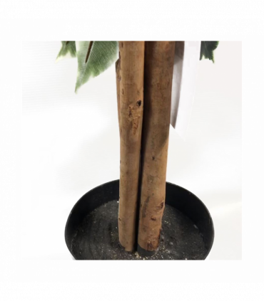 130cm Tall Variegated WhiteandGreen Bushy Ficus Tree