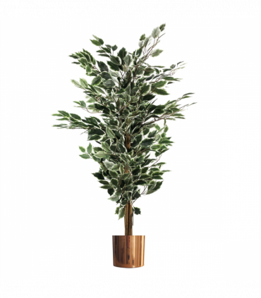 130cm Variegated White/Green Bushy Ficus Tree Copper Metal Planter