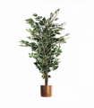 130cm Variegated White/Green Bushy Ficus Tree Copper Metal Planter