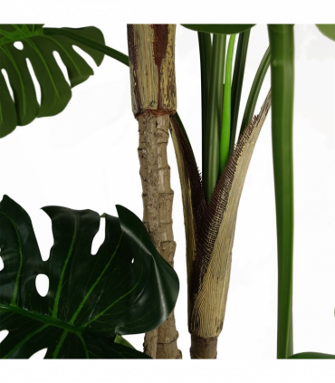 150cm (5ft) Luxury Monstera Plant Black Pot