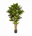 150cm Artificial Croton Tree
