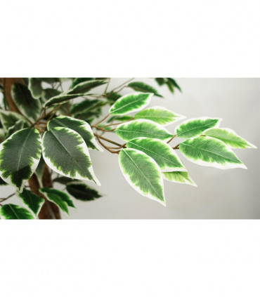 150cm Artificial Ficus Tree 1008 Silk Leaves