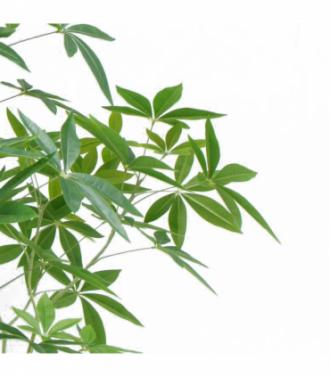 150cm Artificial Money Tree Pachira Realistic Faux Tree