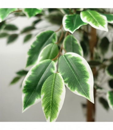 150cm Artificial Silk Ficus Tree