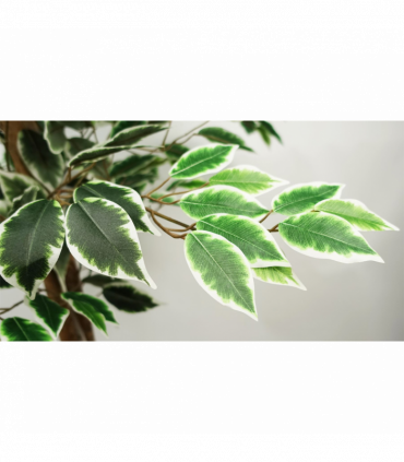 150cm Artificial Silk Ficus Tree