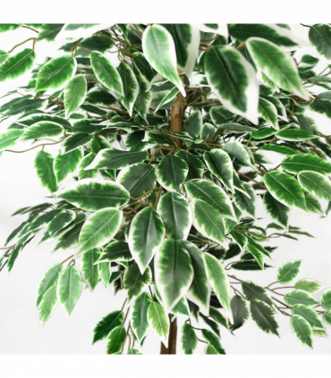 150cm Artificial Silk Ficus Tree