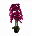 150cm Giant Purple Orchid Plant - Artificial - 189 flowers REAL TOUCH