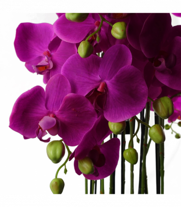150cm Giant Purple Orchid Plant - Artificial - 189 flowers REAL TOUCH