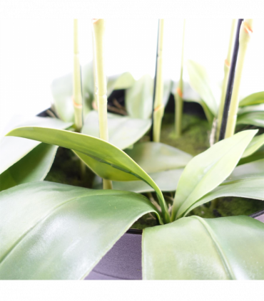 150cm Giant Purple Orchid Plant - Artificial - 189 flowers REAL TOUCH