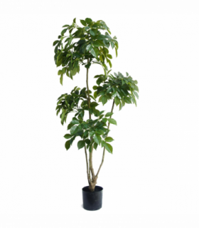150cm Radermachera Realistic Artificial Tree