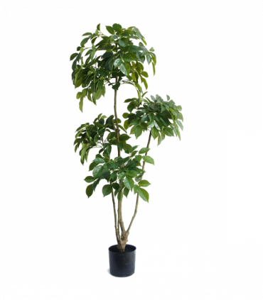 150cm Radermachera Realistic Artificial Tree