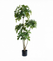 150cm Radermachera Realistic Artificial Tree