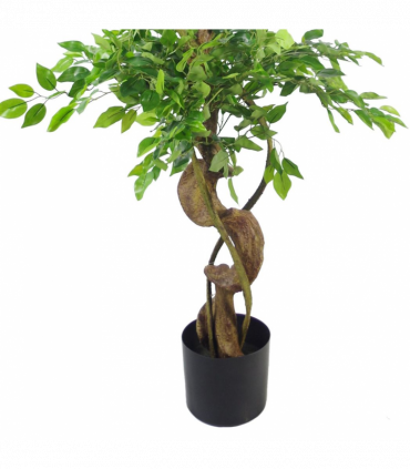 150cm Twisted Trunk Artificial Japanese Fruticosa Ficus Tree Black Planter