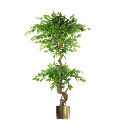150cm Twisted Trunk Artificial Japanese Fruticosa Ficus Tree Gold Planter