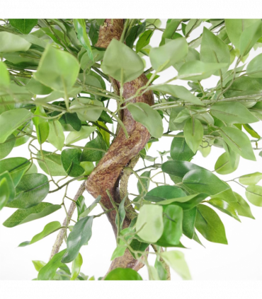 150cm Twisted Trunk Artificial Japanese Fruticosa Ficus Tree Silver Planter