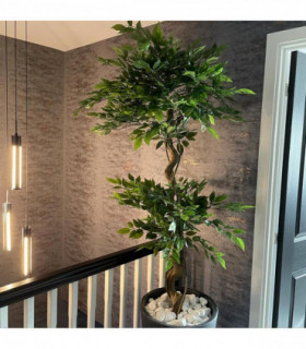 150cm Twisted Trunk Artificial Japanese Fruticosa Style Ficus Tree