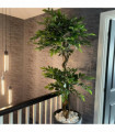 150cm Twisted Trunk Artificial Japanese Fruticosa Style Ficus Tree