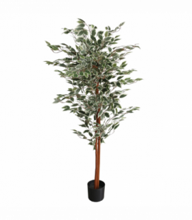 160cm Artificial Ficus with Natural Variegated Leaves
