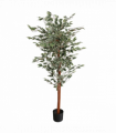 160cm Artificial Ficus with Natural Variegated Leaves