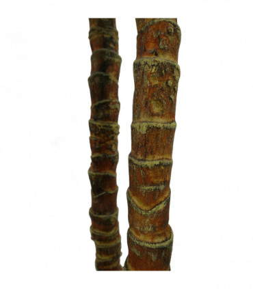 170cm Artificial XL Triple Yukka Tree Plant Spiky Tree Plant Realistic