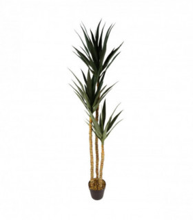 170cm Artificial XL Triple Yukka Tree Tropical Plant