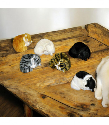 17cm' LYING CURLED' UP BABY KITTEN