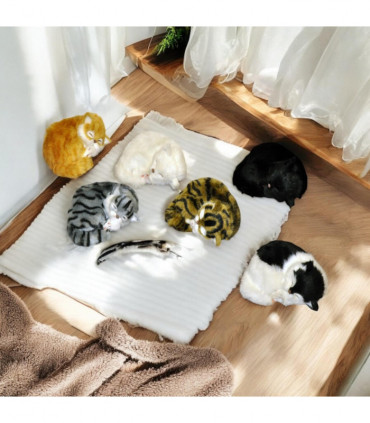 17cm' LYING CURLED' UP BABY KITTEN