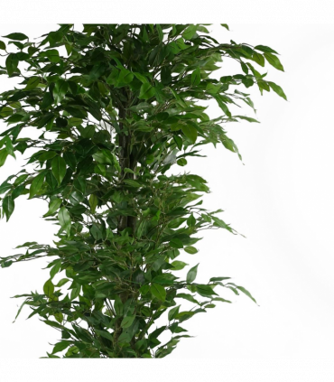 Artificial Ficus Tree