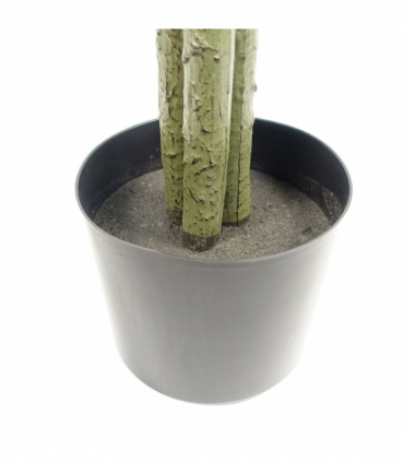 Artificial Ficus Tree