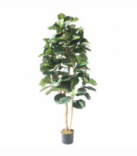 180cm Artificial Fiddle Fig Deluxe Tree