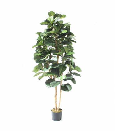 180cm Artificial Fiddle Fig Deluxe Tree