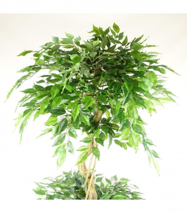 180cm Artificial Twisted Trunk Fruticosa Ficus Tree Triple Ball Topiary 1984 Leaves