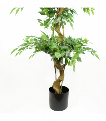 180cm Artificial Twisted Trunk Fruticosa Ficus Tree Triple Ball Topiary 1984 Leaves