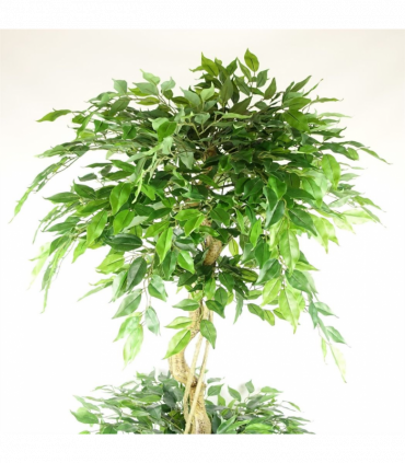 180cm Artificial Twisted Trunk Fruticosa Ficus Tree Triple Ball Topiary 1984 Leaves